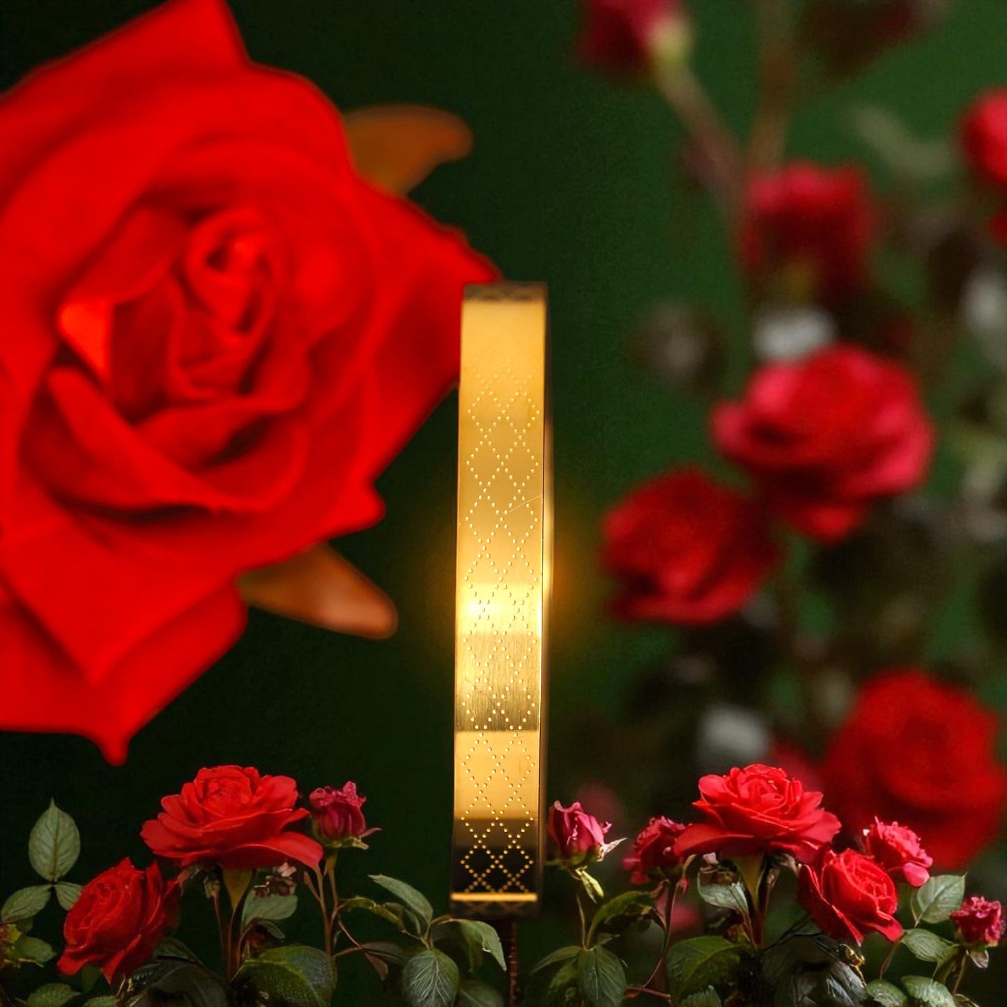 Cuff | Italian Gold Plated SACH JEWELS