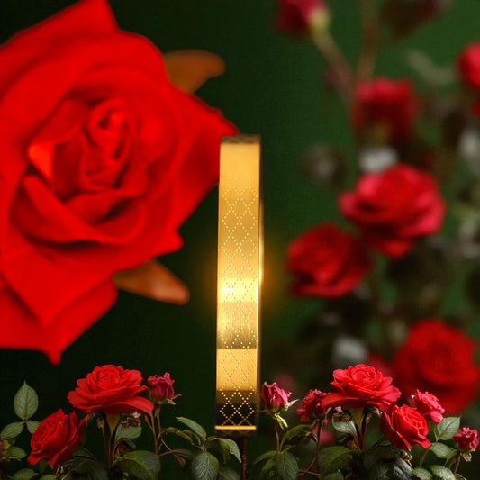Cuff | Italian Gold Plated SACH JEWELS